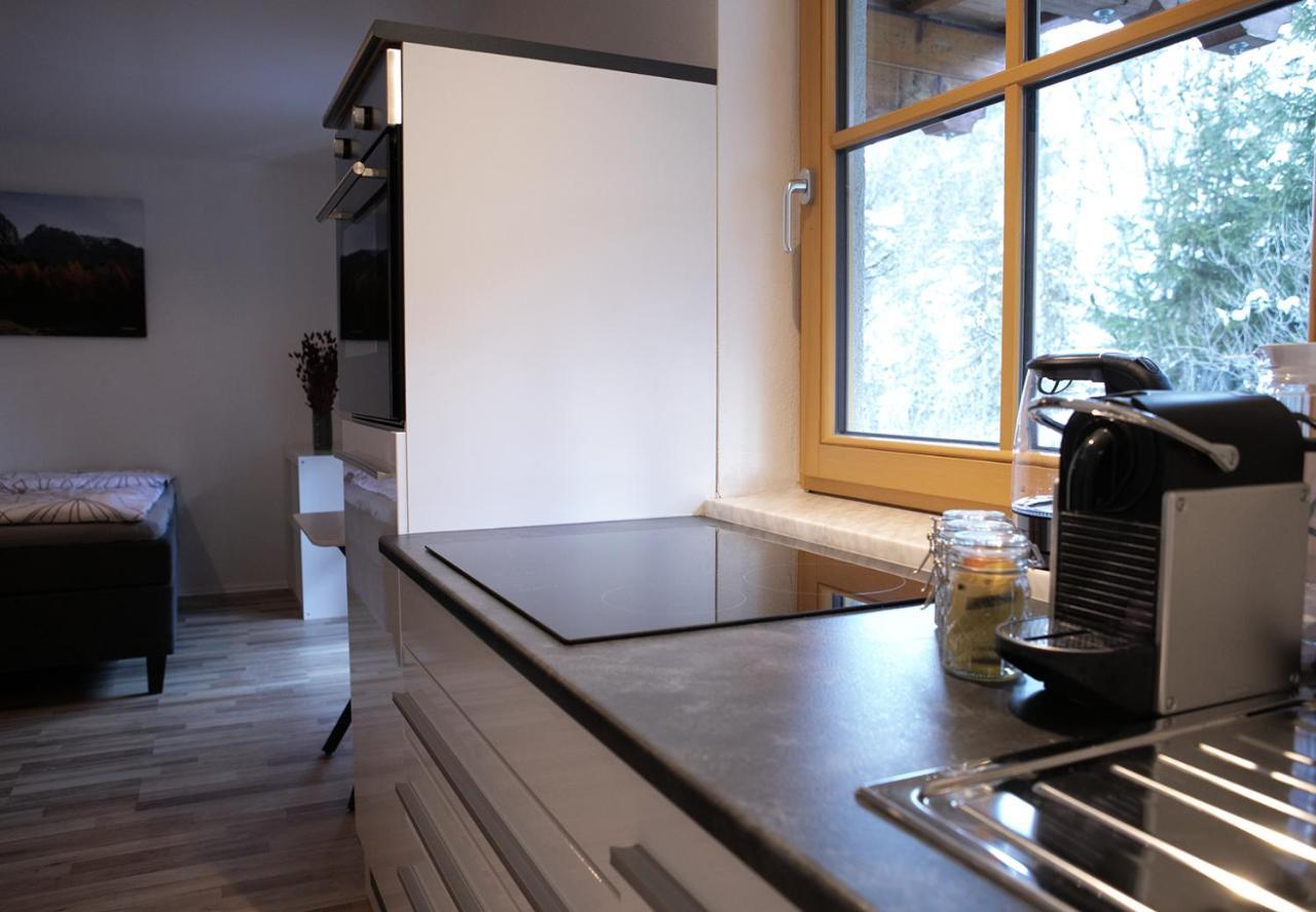 Appartement Steinfisch 람자우 암 다흐스타인 외부 사진