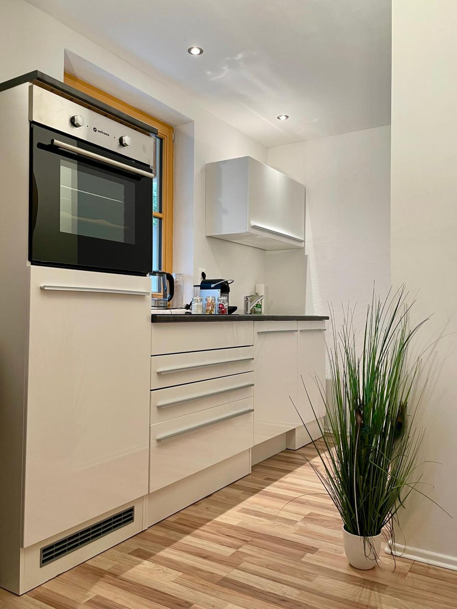 Appartement Steinfisch 람자우 암 다흐스타인 외부 사진