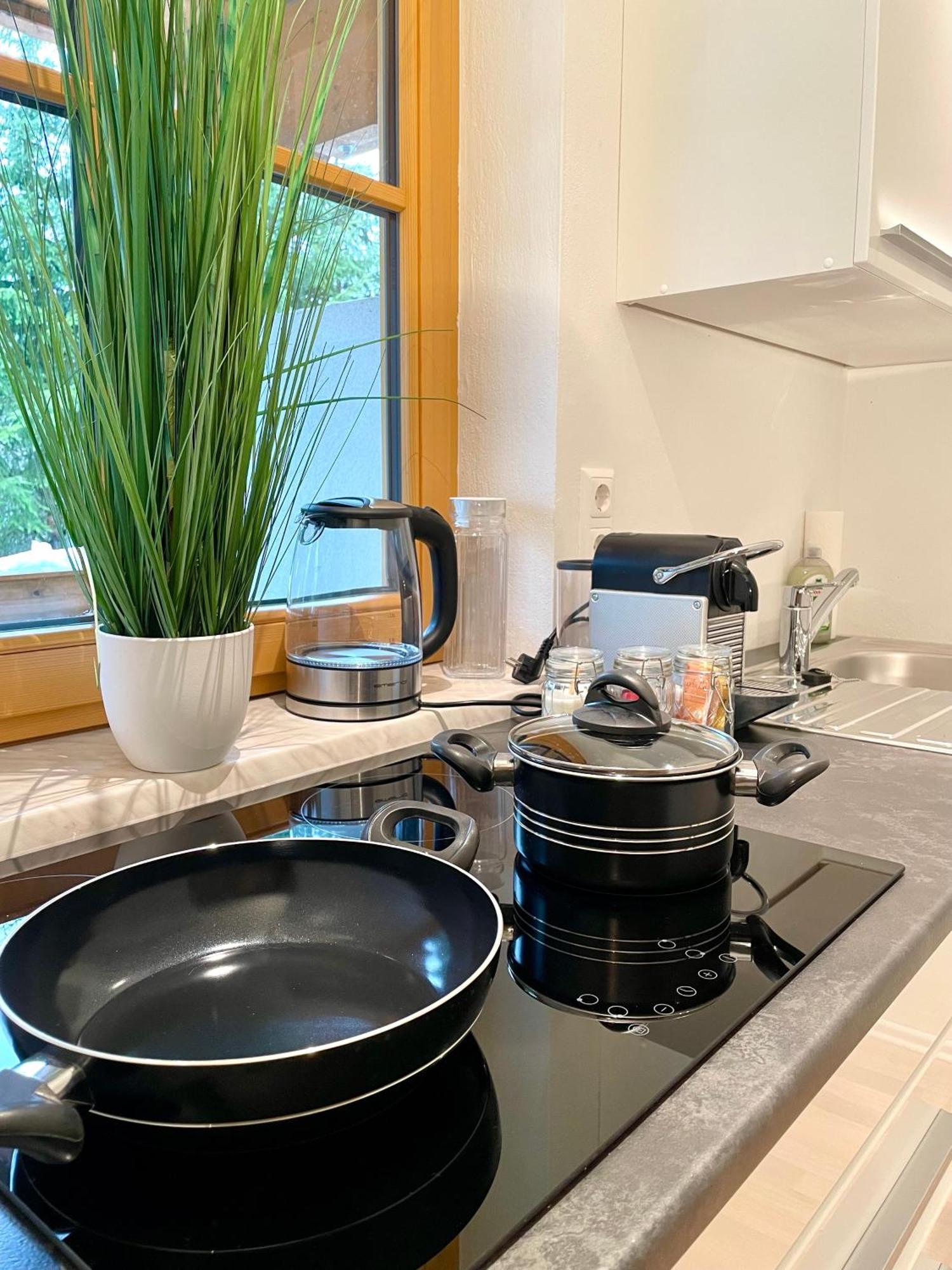 Appartement Steinfisch 람자우 암 다흐스타인 외부 사진