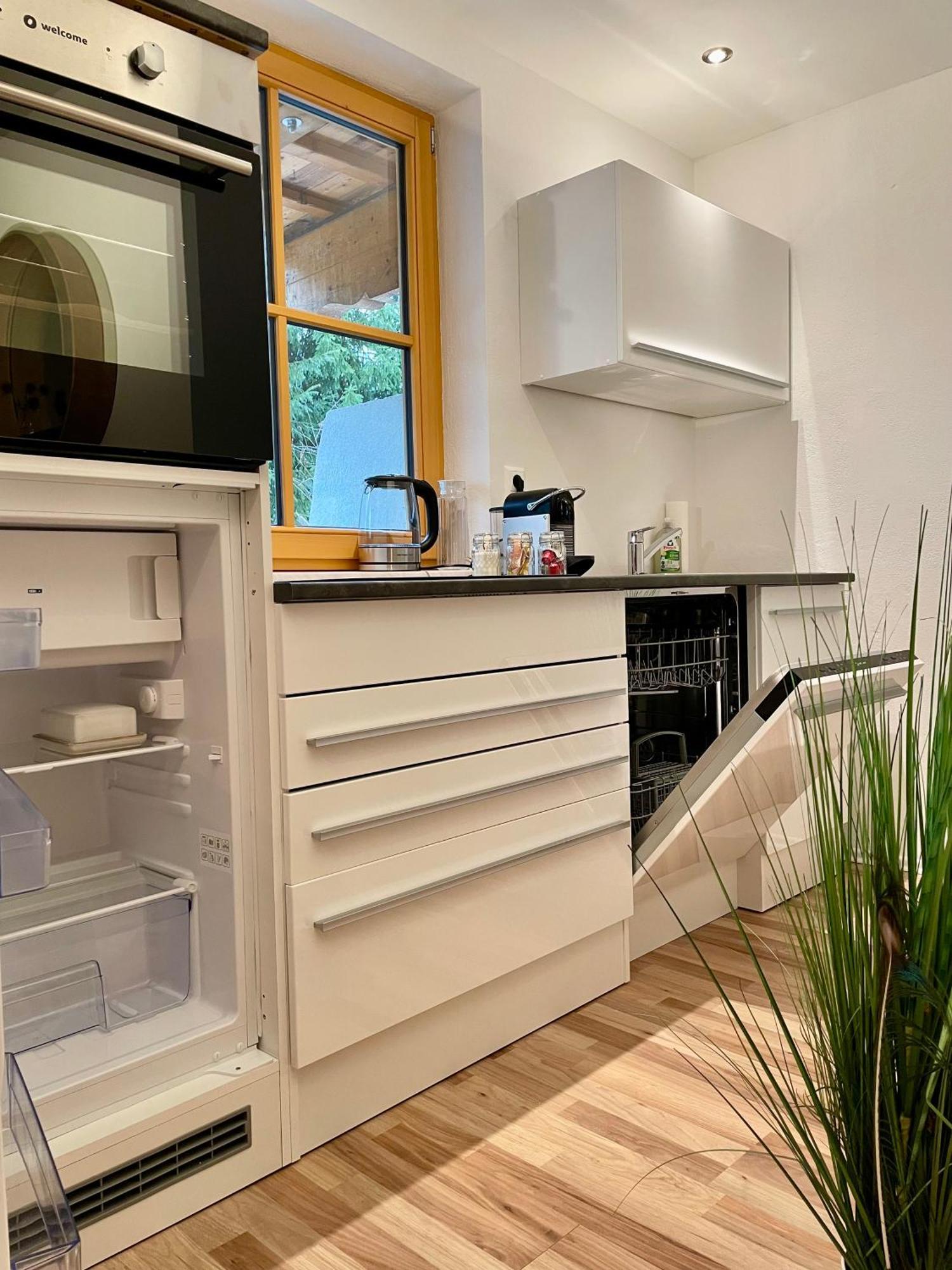 Appartement Steinfisch 람자우 암 다흐스타인 외부 사진