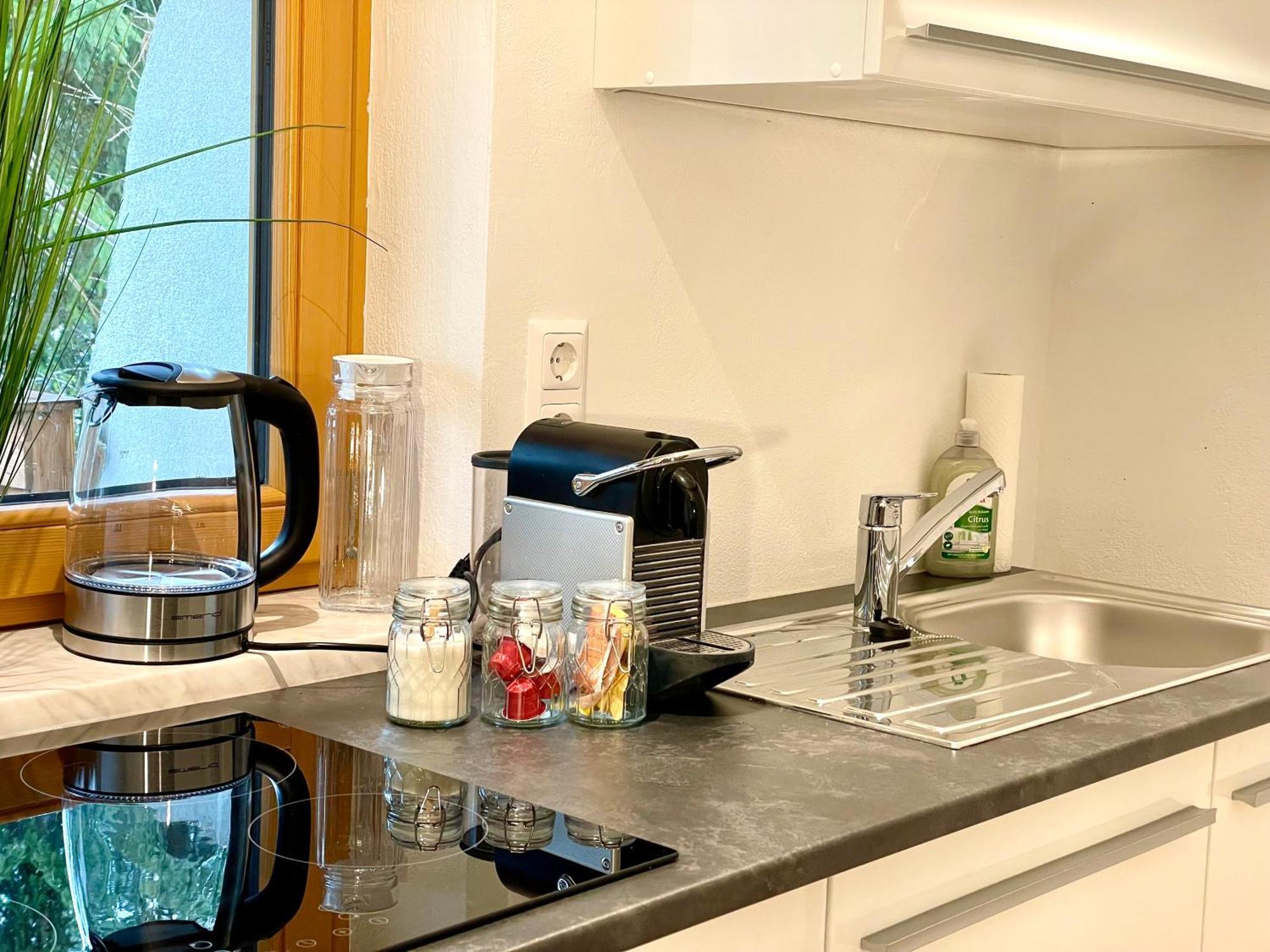 Appartement Steinfisch 람자우 암 다흐스타인 외부 사진